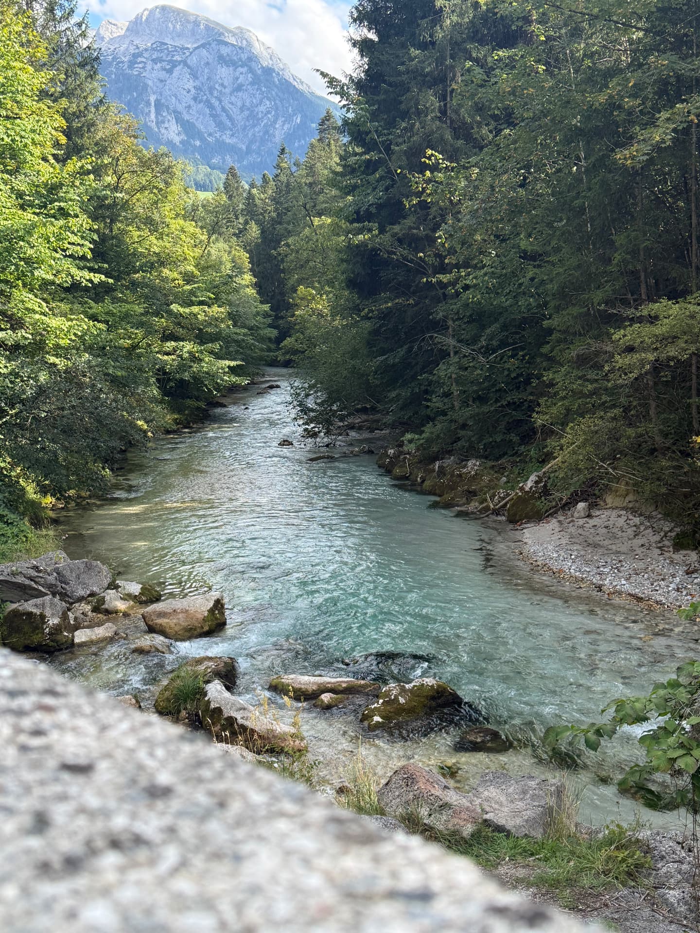 Türkiser Gebirgsfluss zwischen grünen Wäldern und Gipfeln